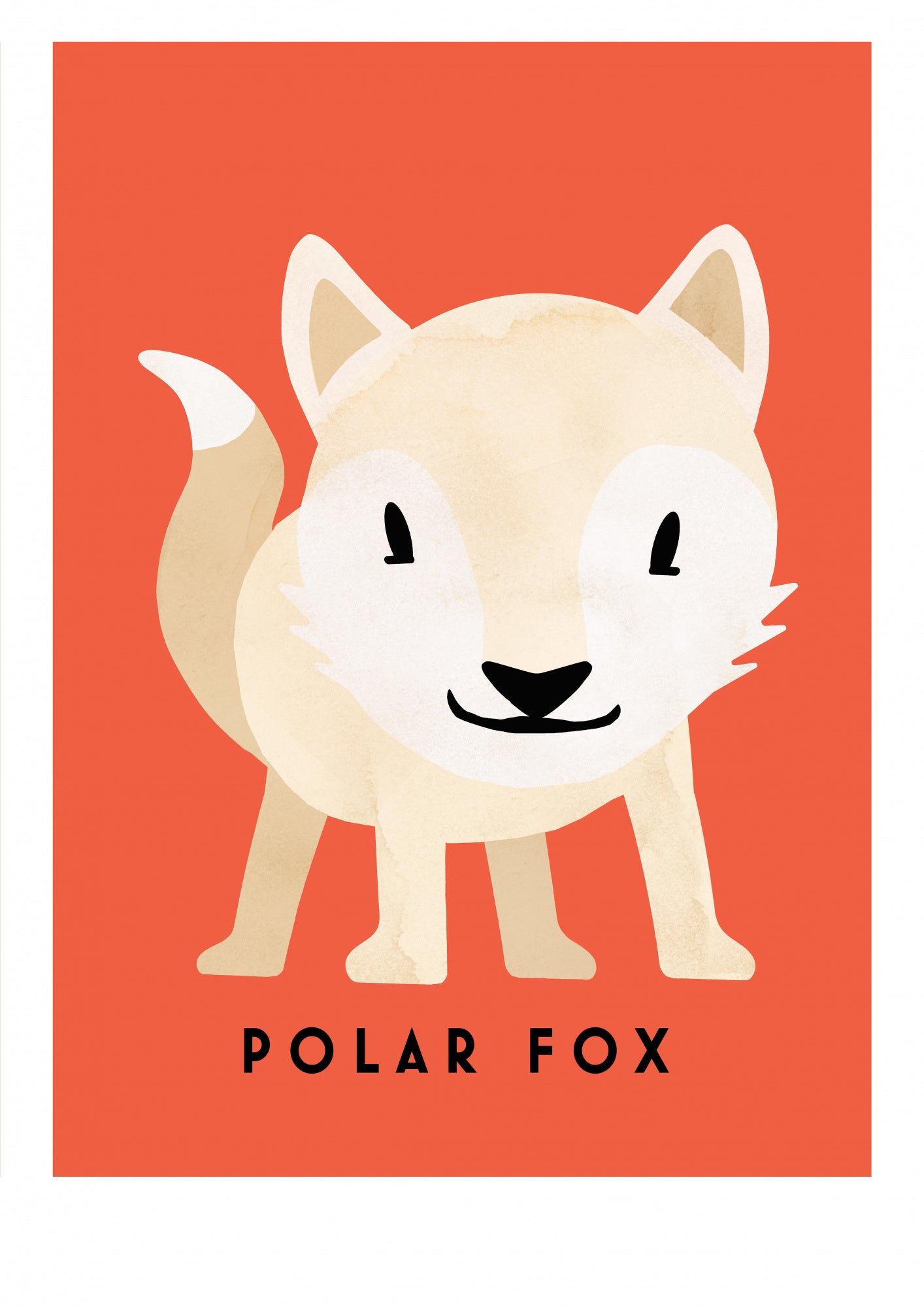 Fjällräv Poster och Canvastavla