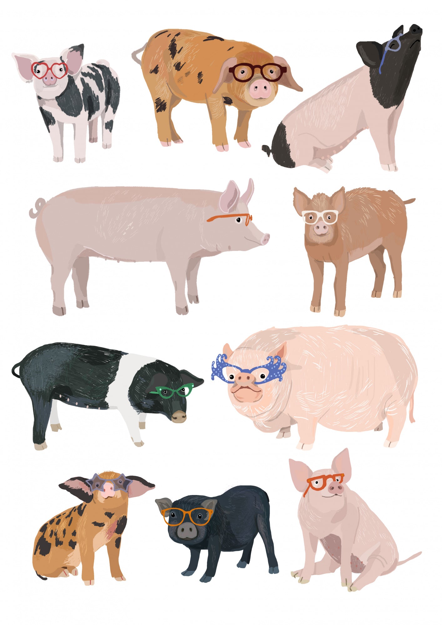 Pigs Glasses Poster och Canvastavla