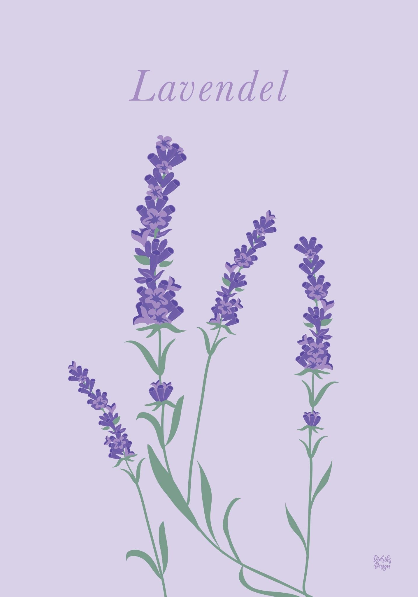 Lavendel poster
