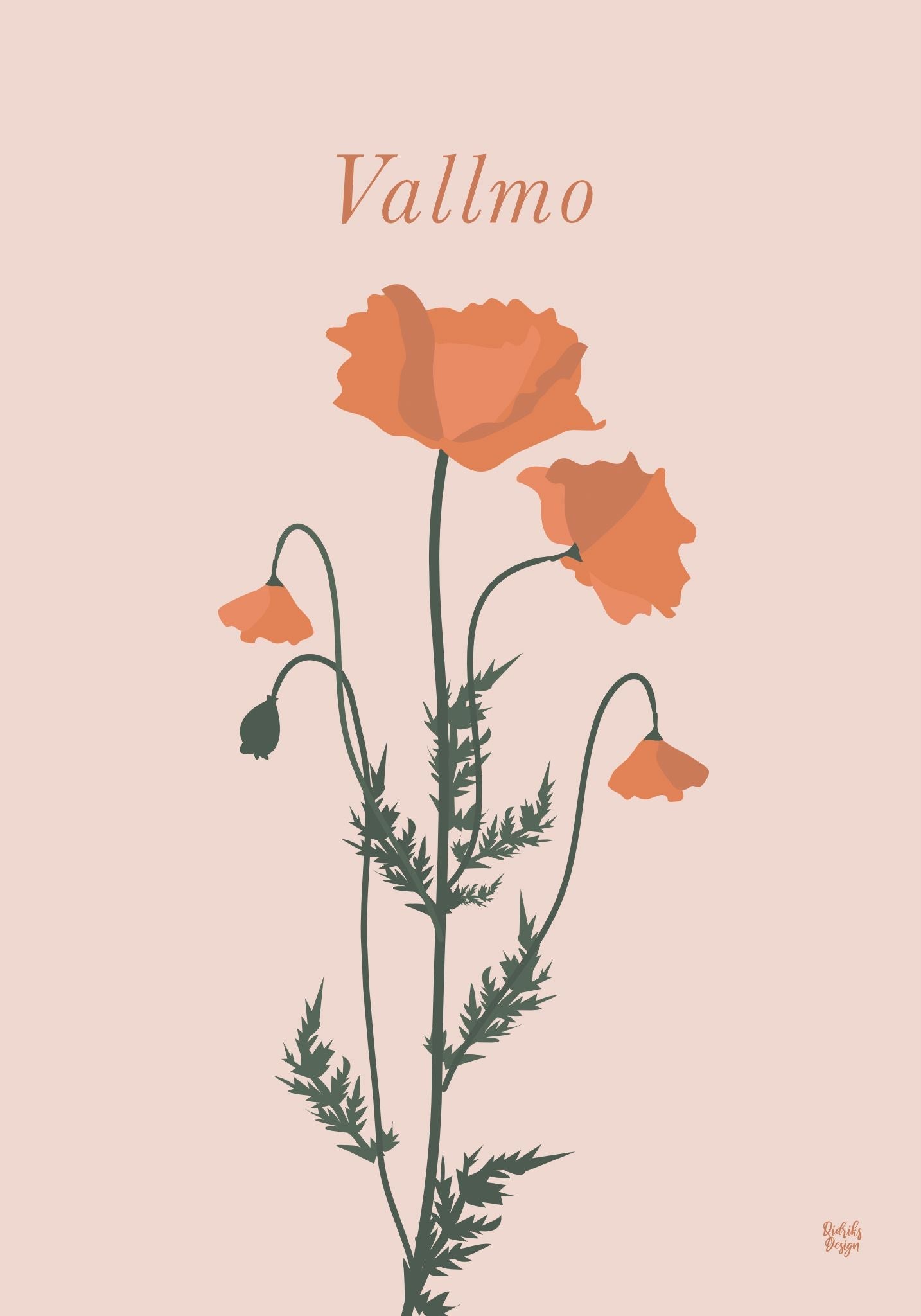 Vallmo poster
