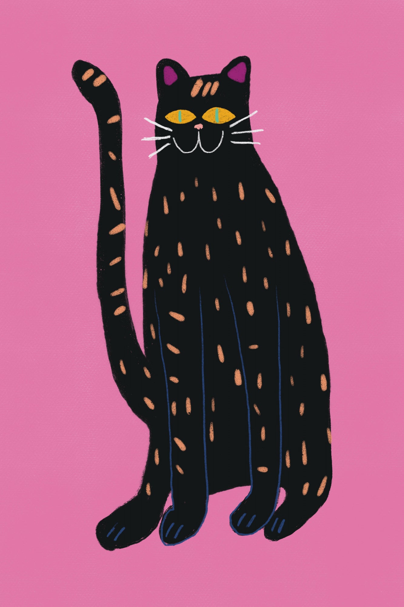 Black cat Poster och Canvastavla