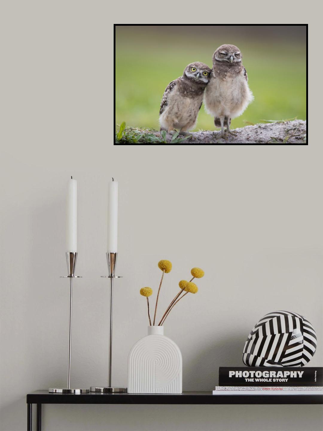 Friends Poster och Canvastavla