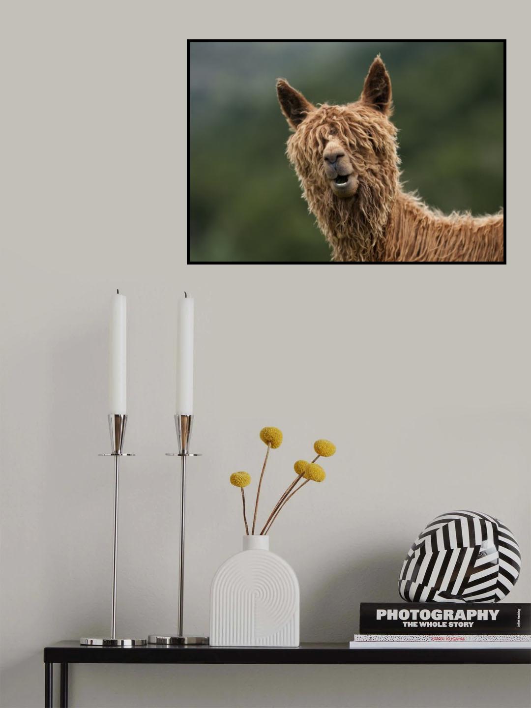 The Muppet Show Poster och Canvastavla