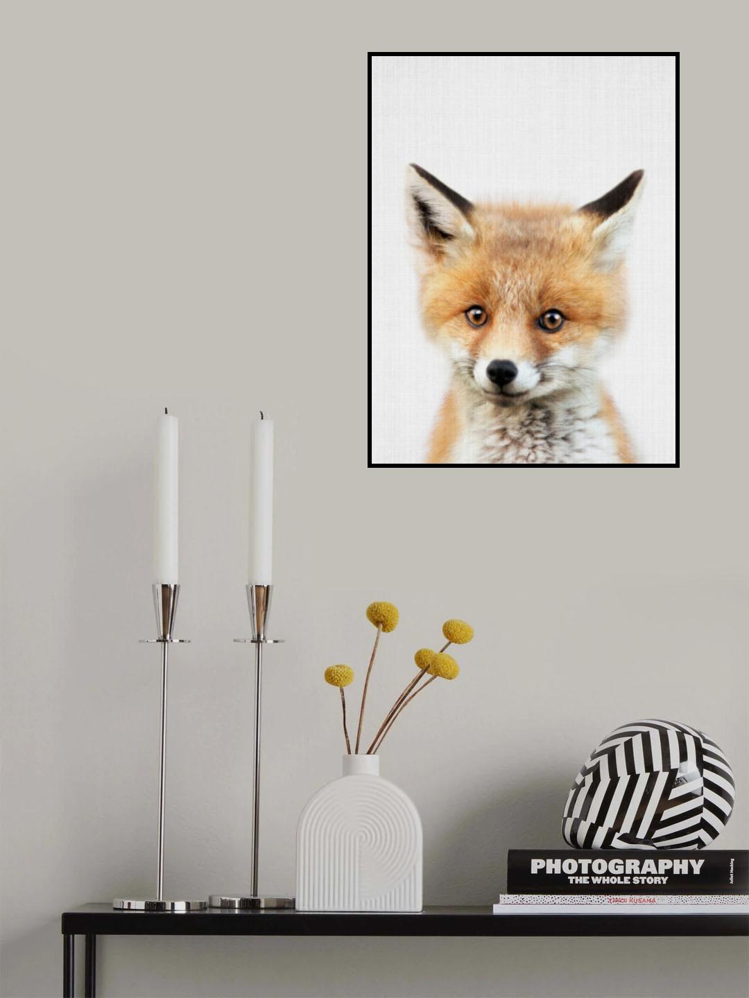 Peekaboo Baby Fox Poster och Canvastavla