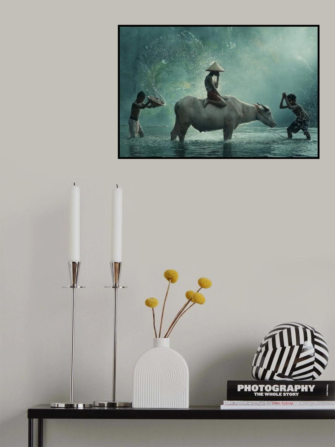 Water Buffalo Poster och Canvastavla