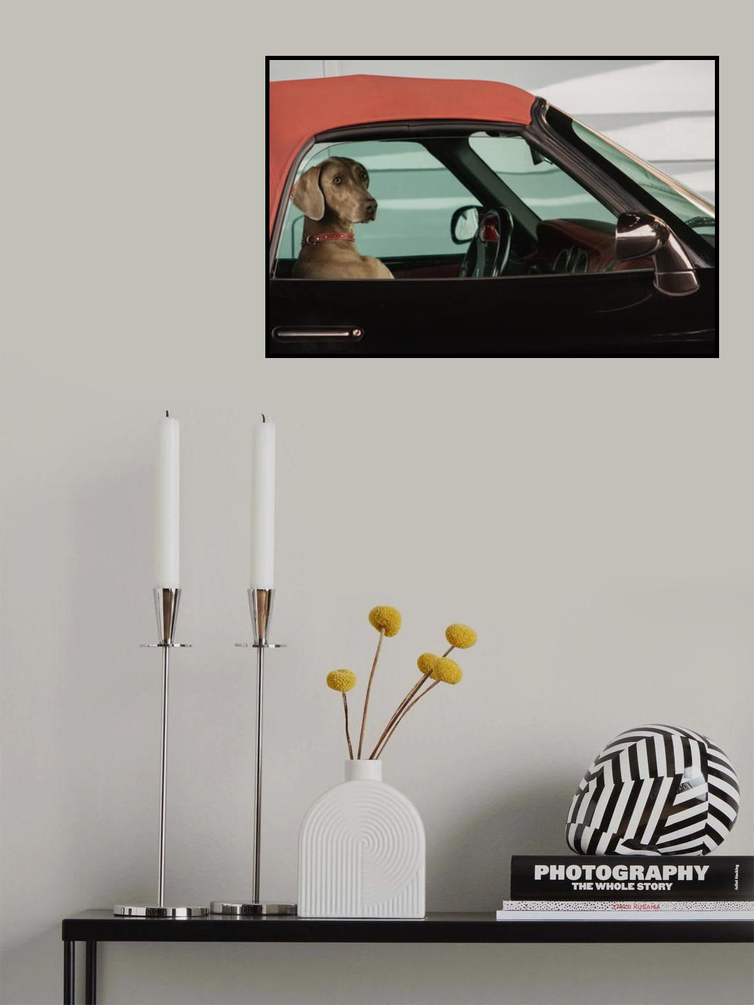 lady Poster och Canvastavla