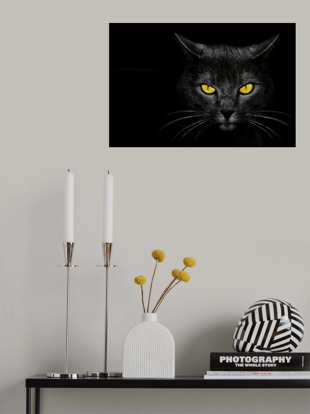 Black Cat Poster och Canvastavla