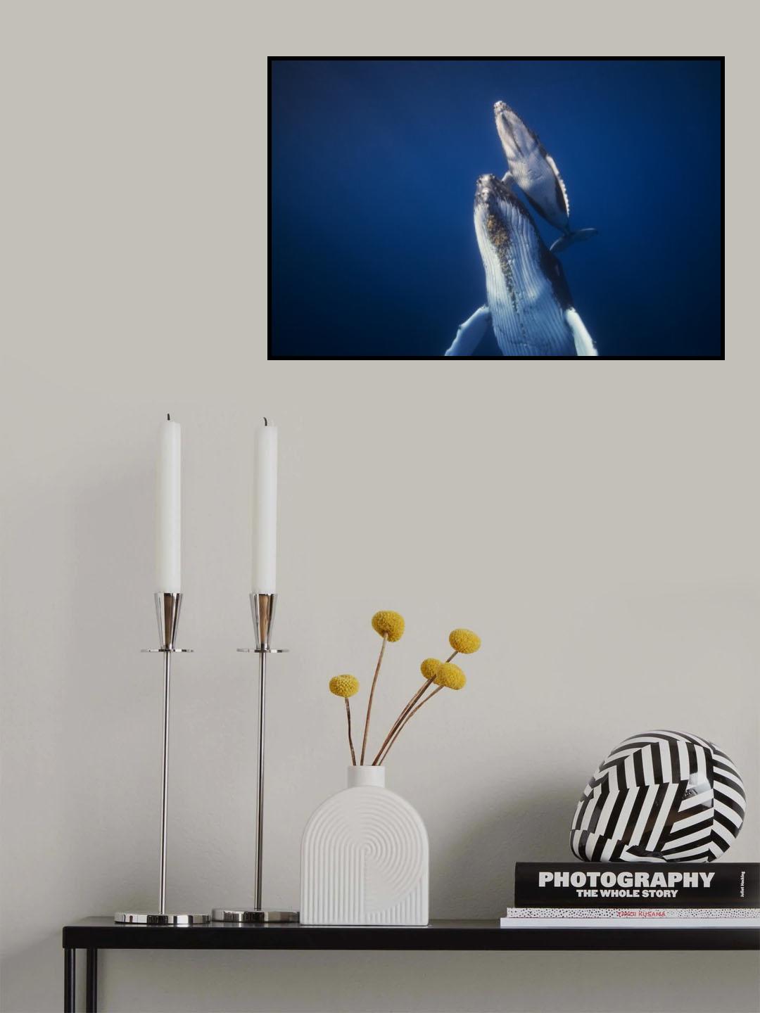 Come back to the surface Poster och Canvastavla