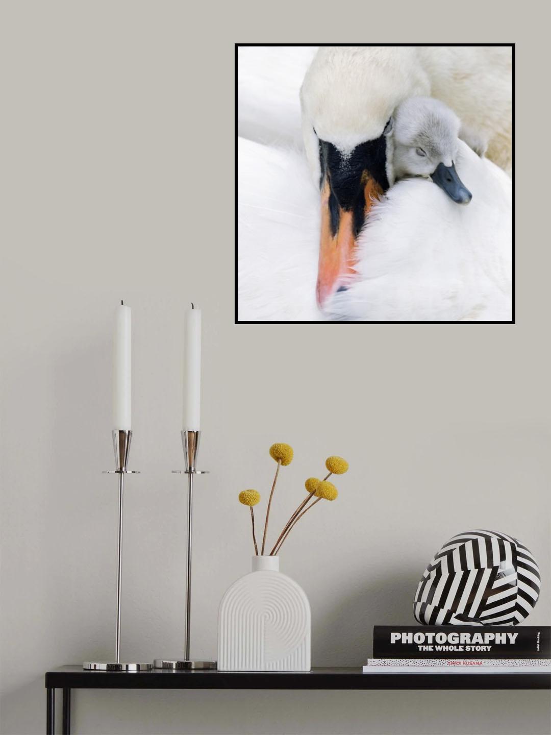 A Mother\'s Love Poster och Canvastavla