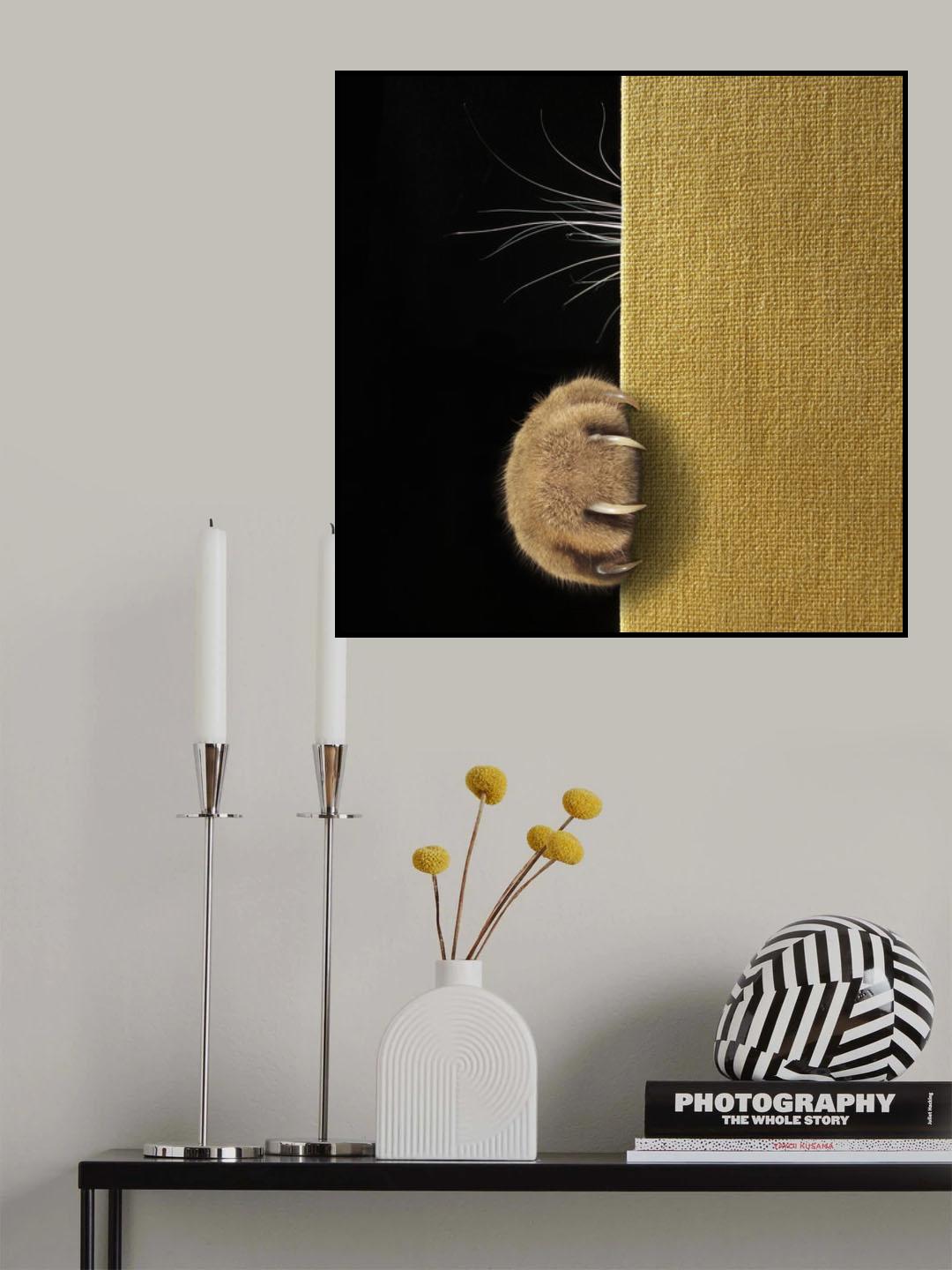 Shy cat ... Poster och Canvastavla