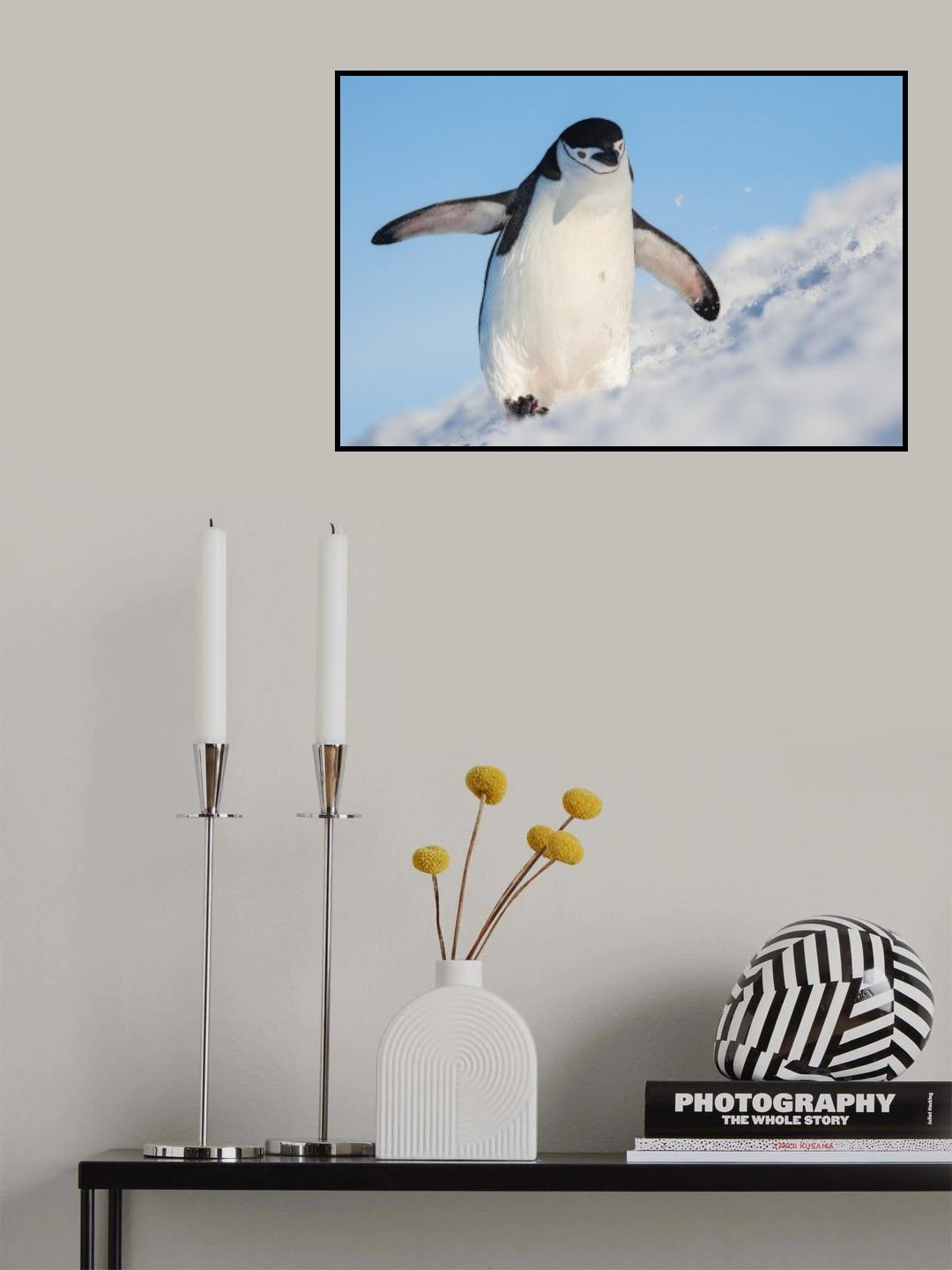 Running up that hill Poster och Canvastavla