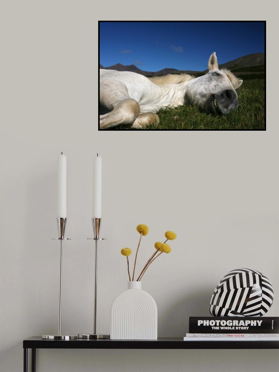 Sleeping Beauty Poster och Canvastavla