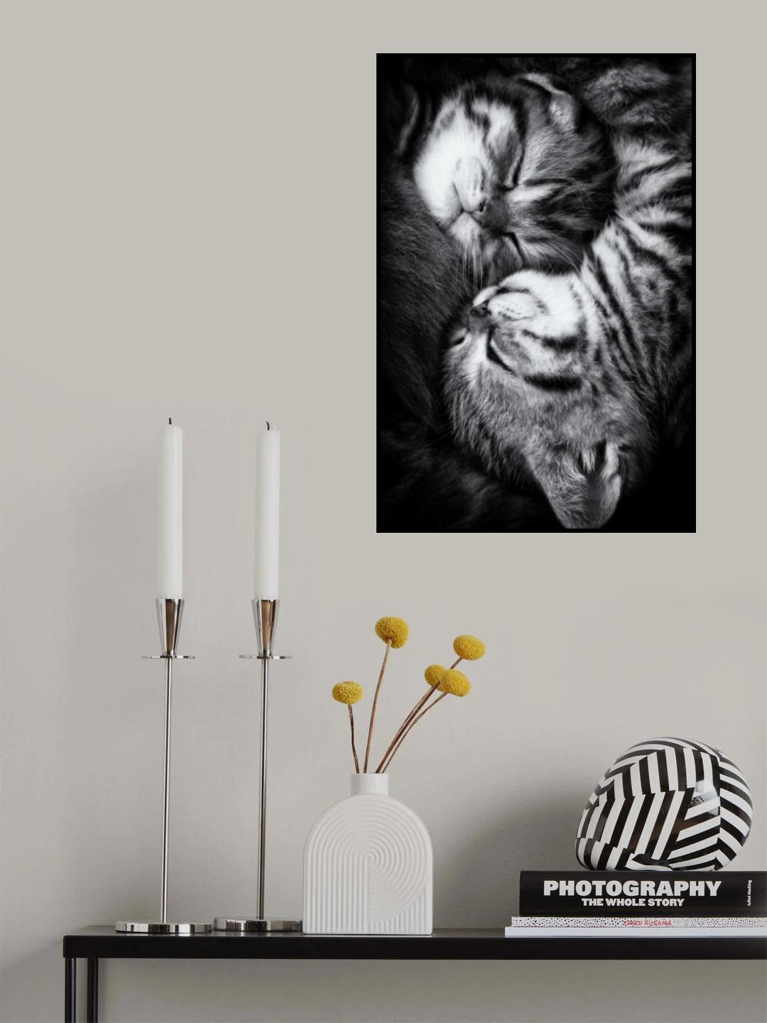 Yin and Yang Poster och Canvastavla