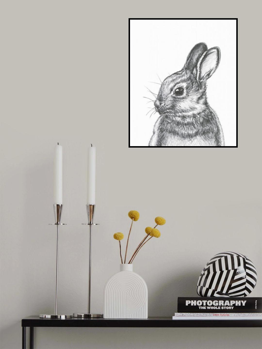 Cottantail Poster och Canvastavla