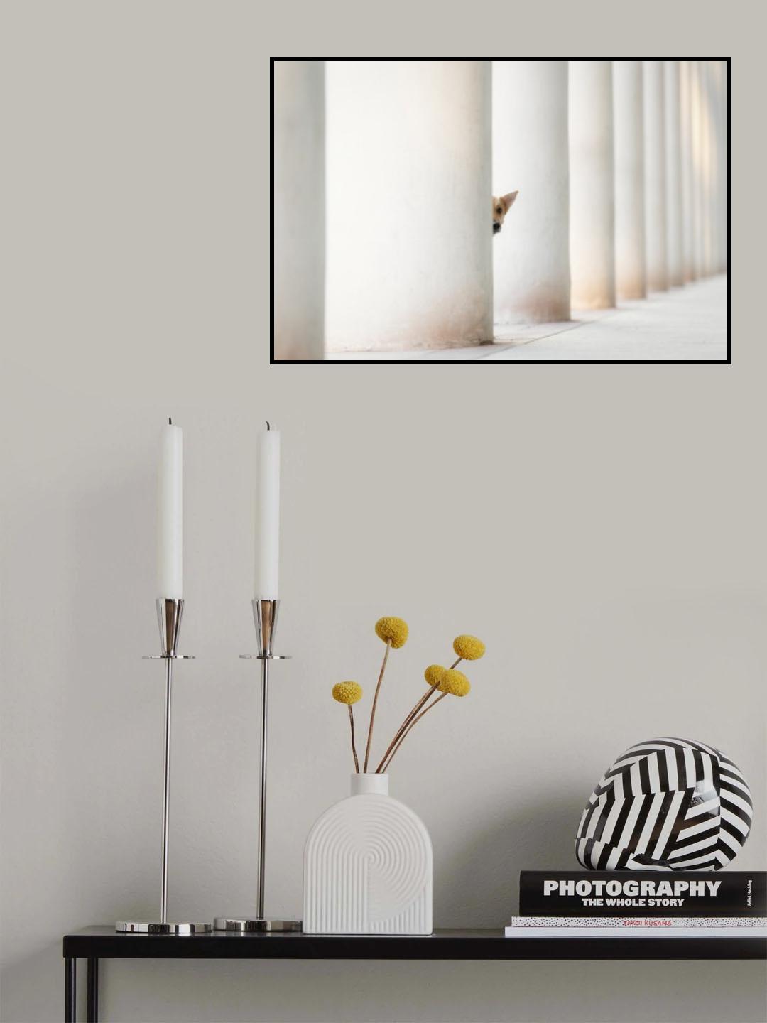 Bella - and the Pillars of the Earth... Poster och Canvastavla