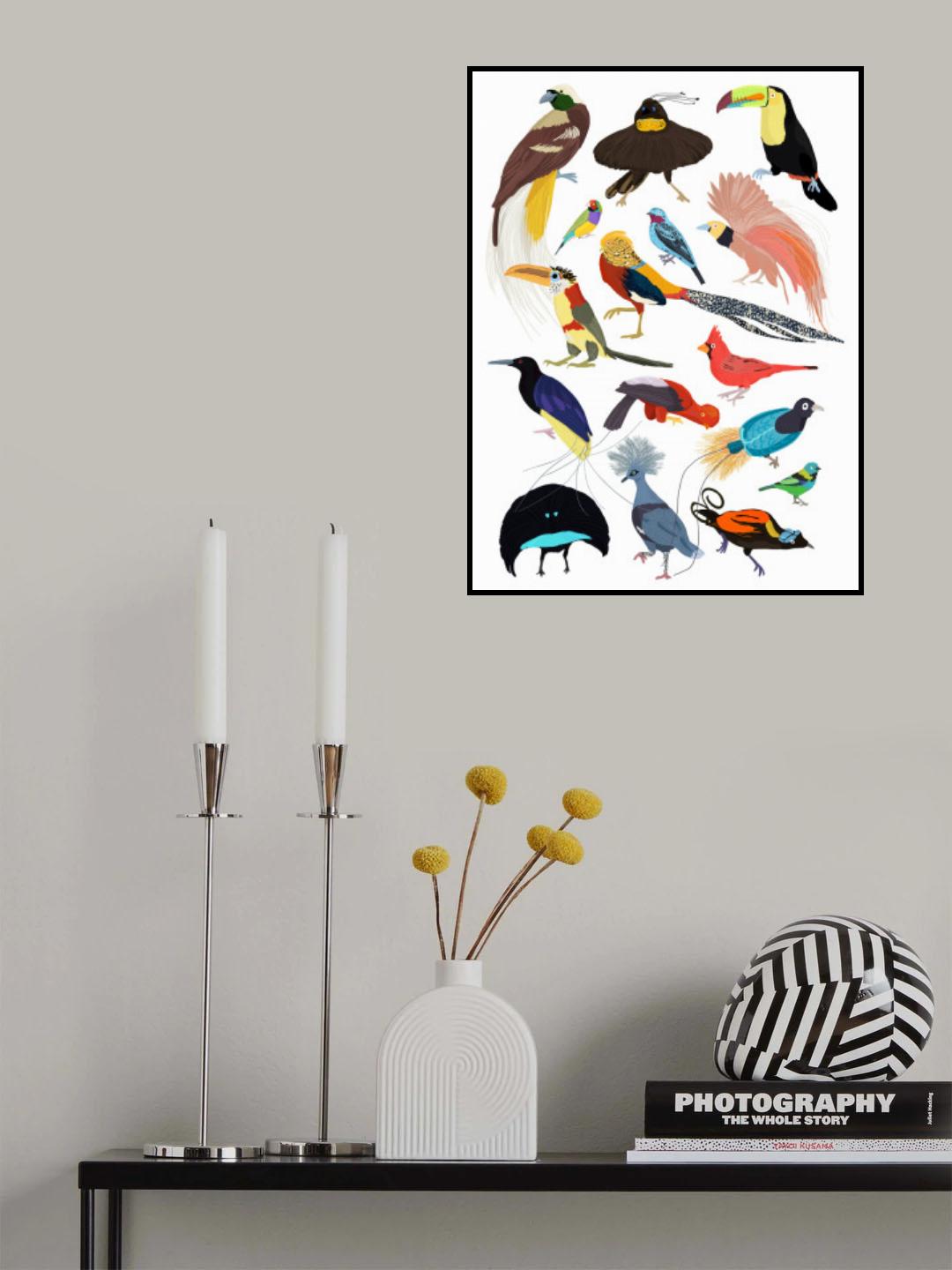Birds of Paradise Poster och Canvastavla