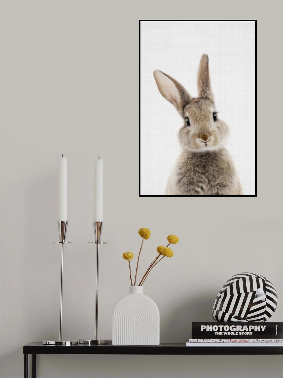 Peekaboo Bunny Poster och Canvastavla
