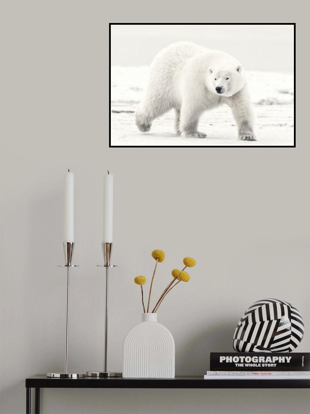 Alaskan king Poster och Canvastavla