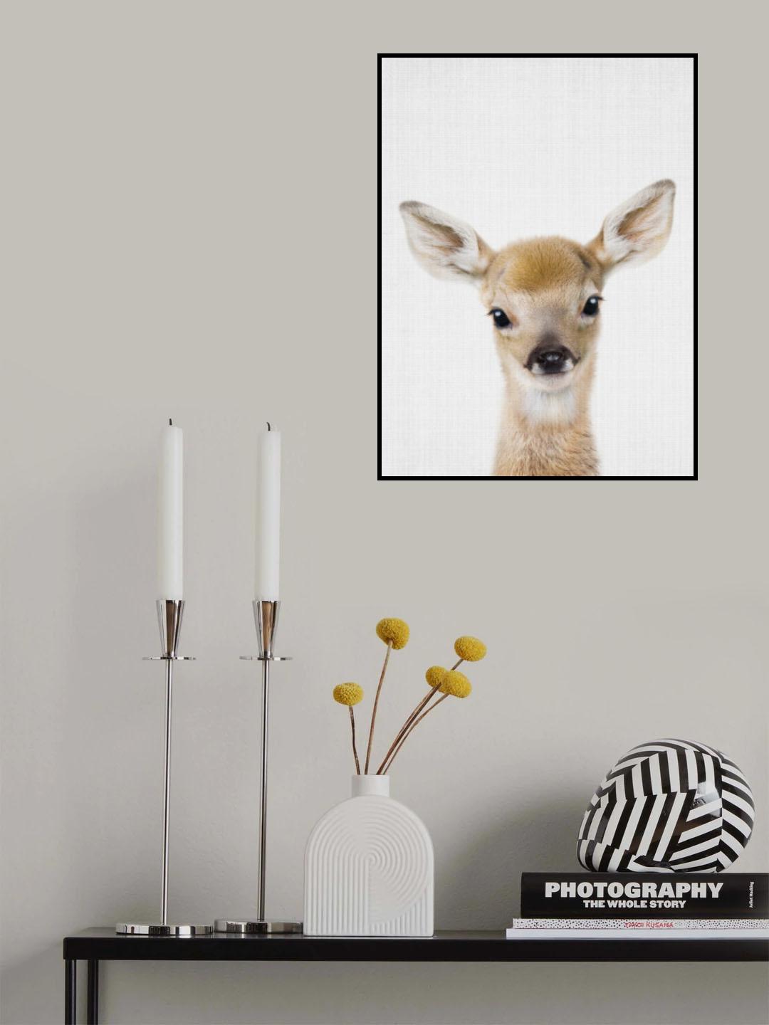 Peekaboo Baby Deer Poster och Canvastavla