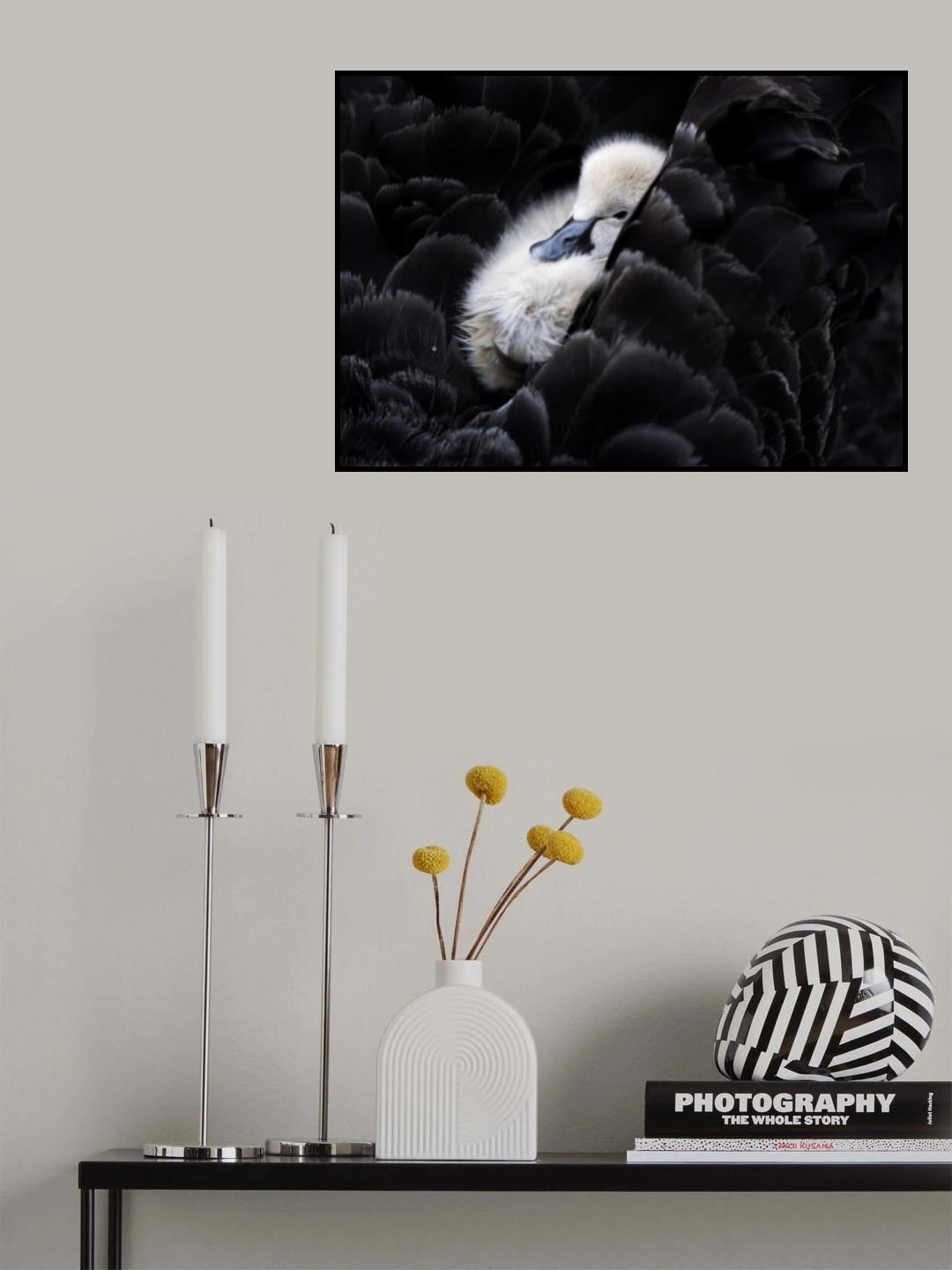 Pickaback Poster och Canvastavla