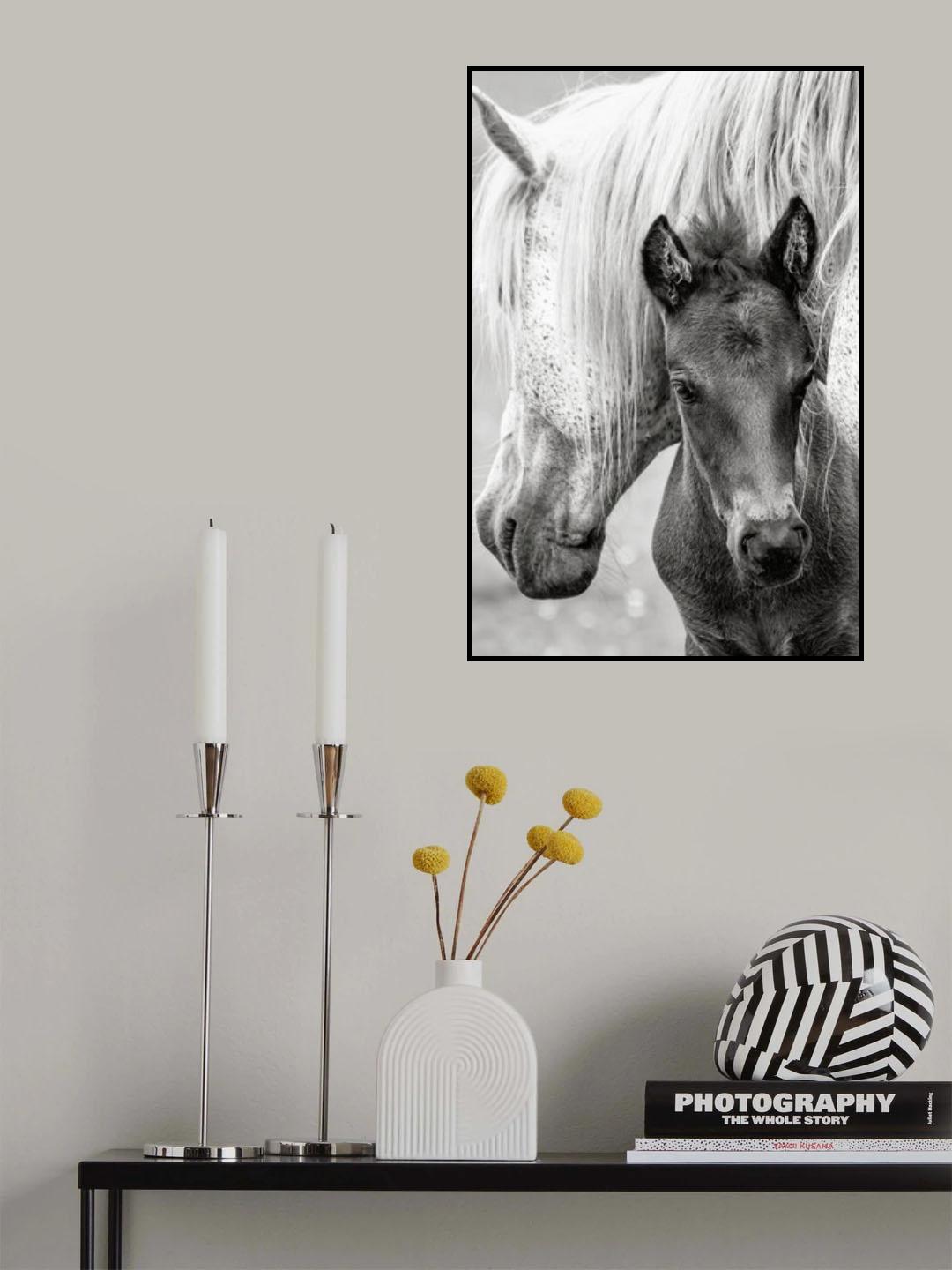 The Foal Poster och Canvastavla