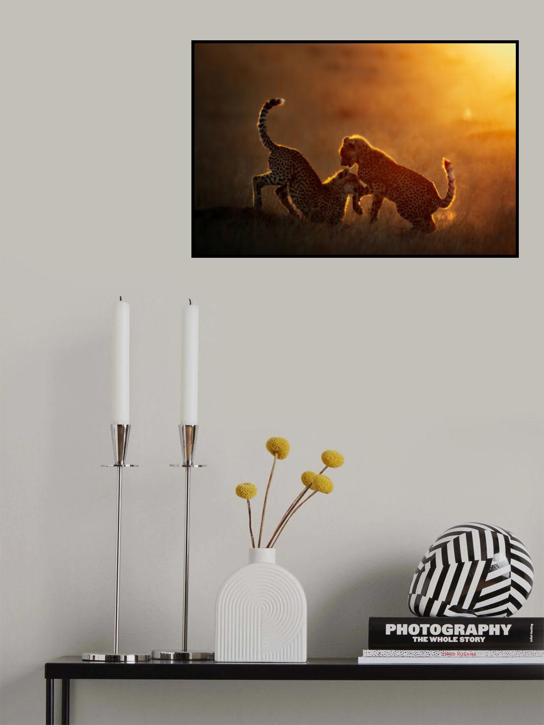 Playing at sunrise Poster och Canvastavla