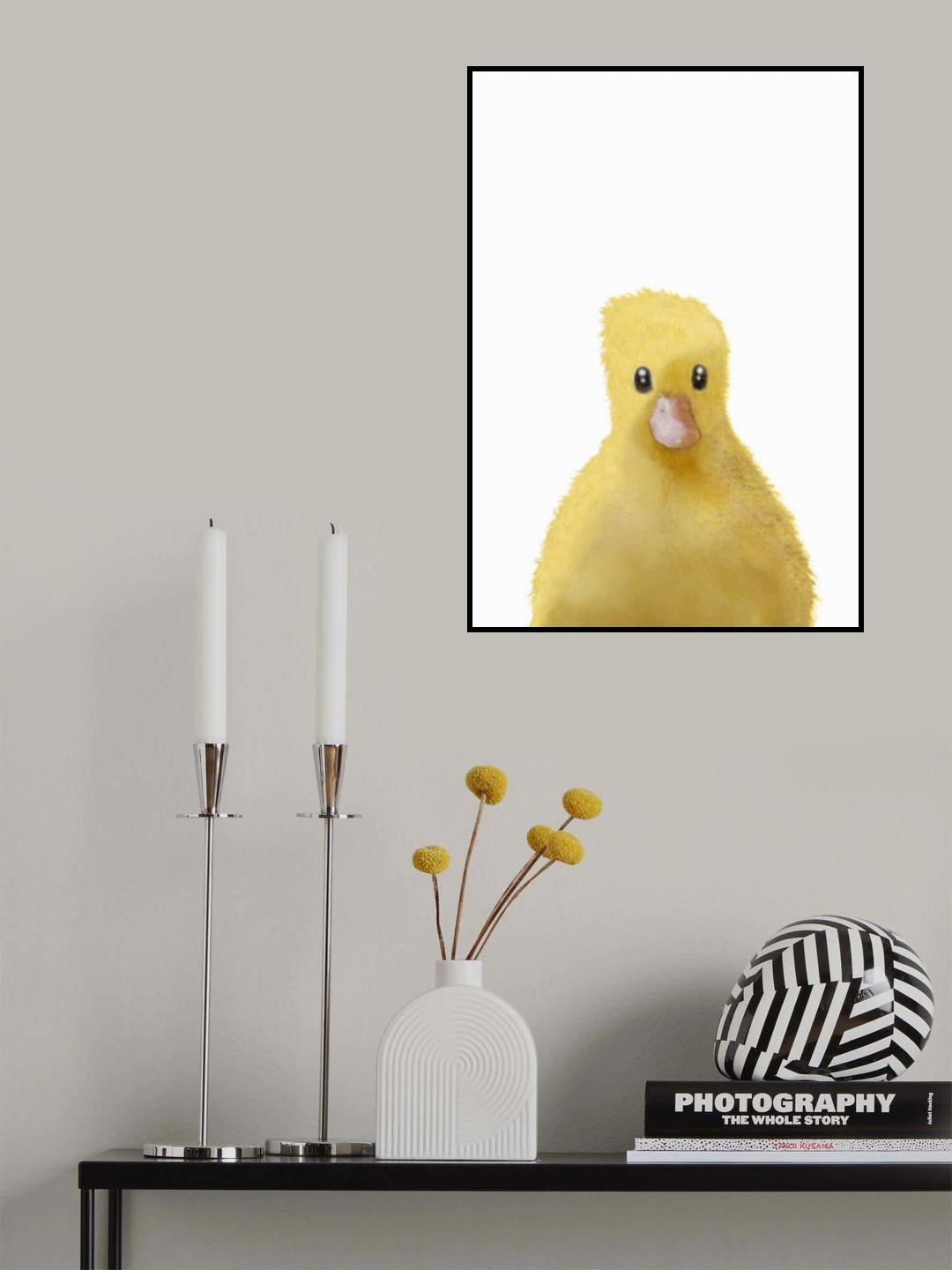 Duck Poster och Canvastavla