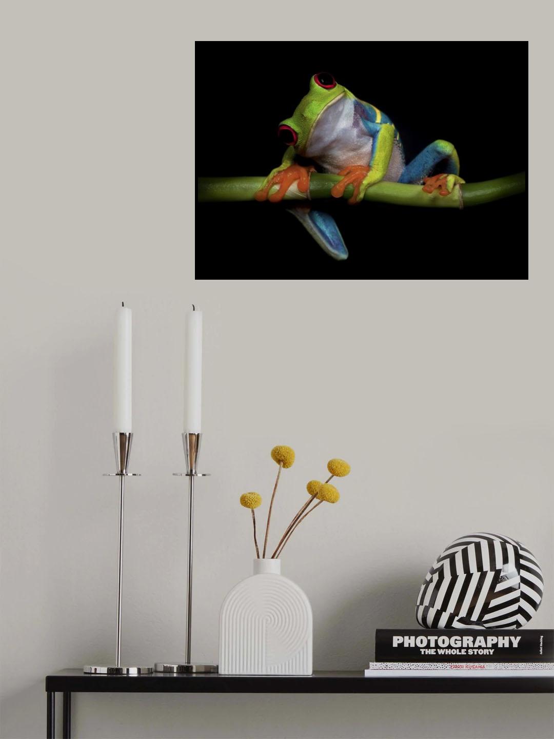 Curiosity Poster och Canvastavla