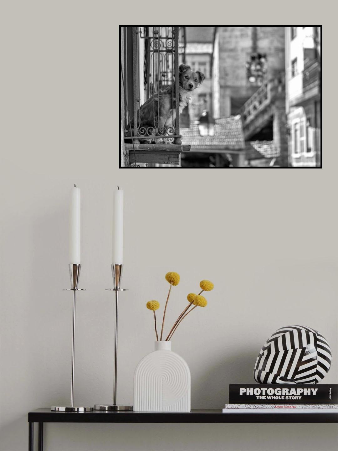 Poster och Canvastavla