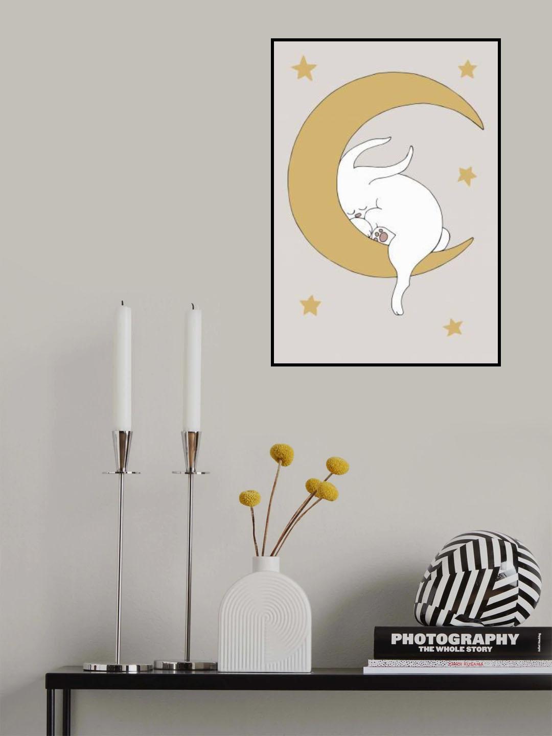 The Rabbit Poster och Canvastavla