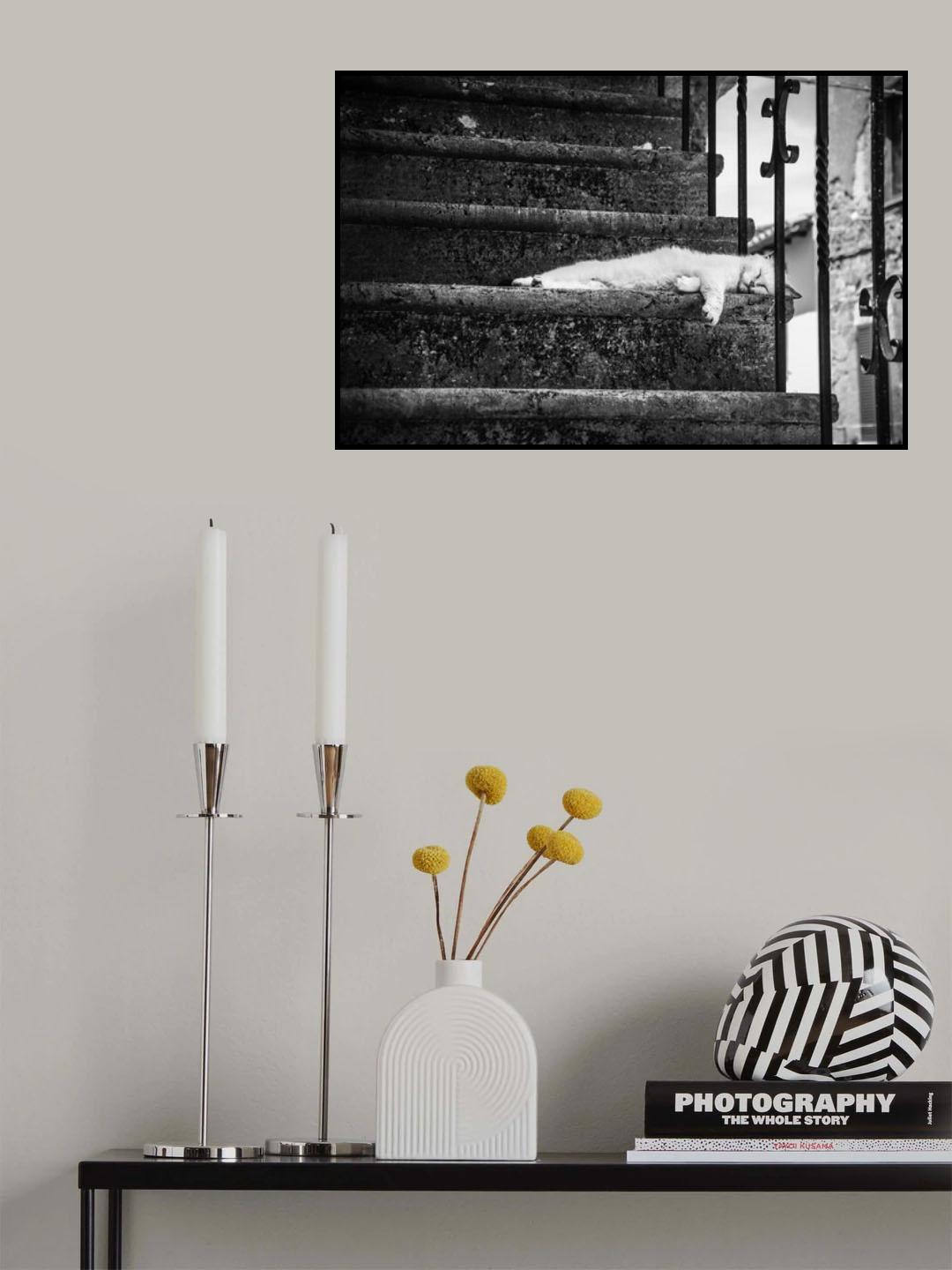 Slow life Poster och Canvastavla