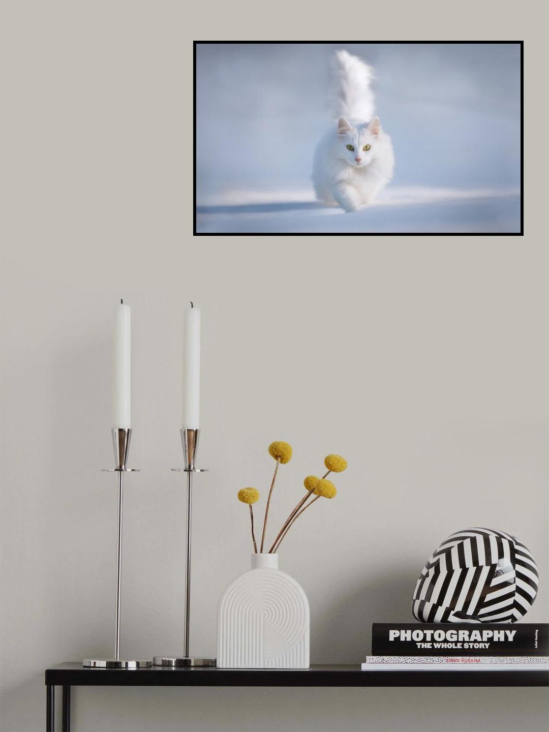 Yellow Eyes Poster och Canvastavla