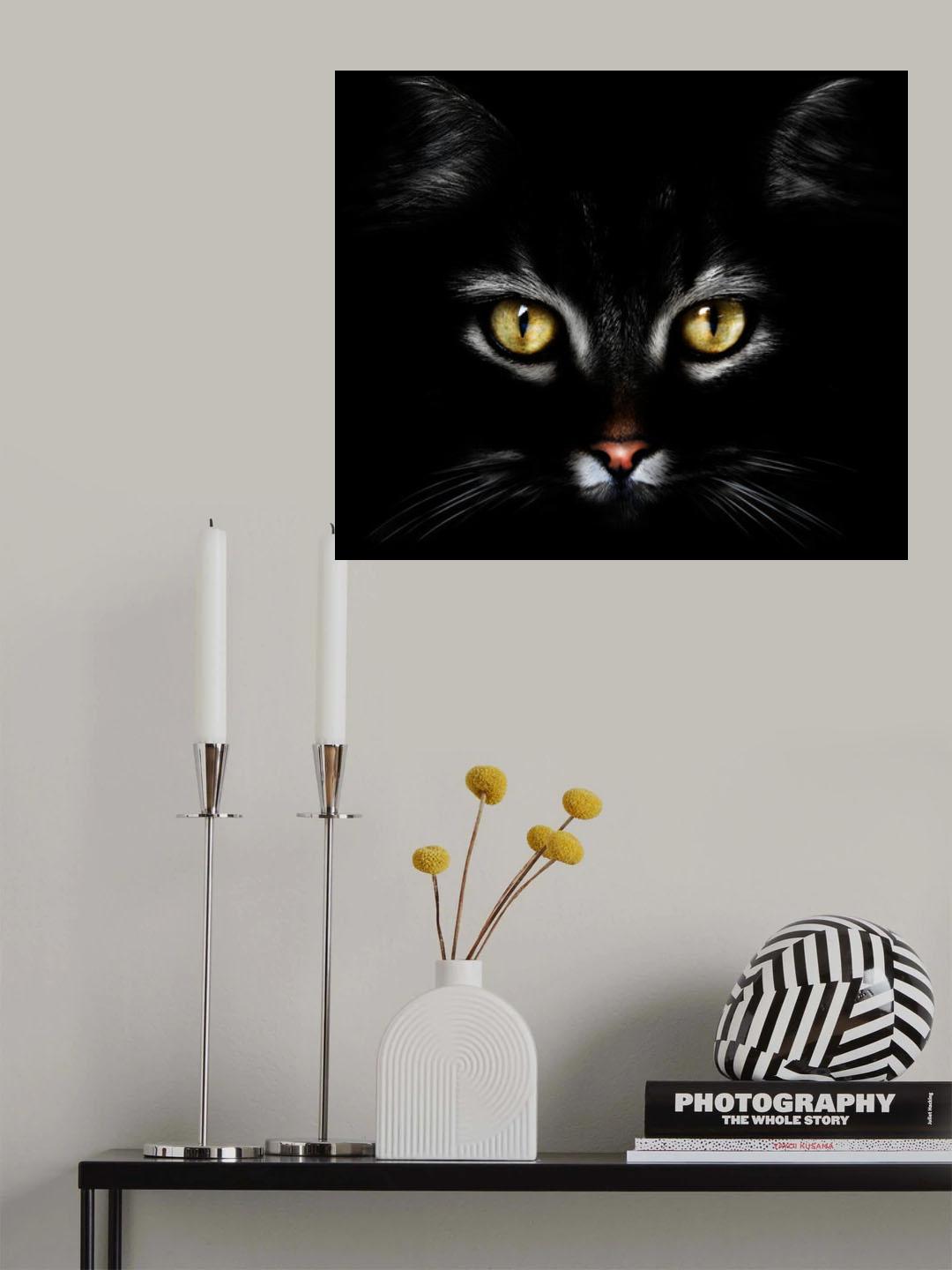 Poster och Canvastavla