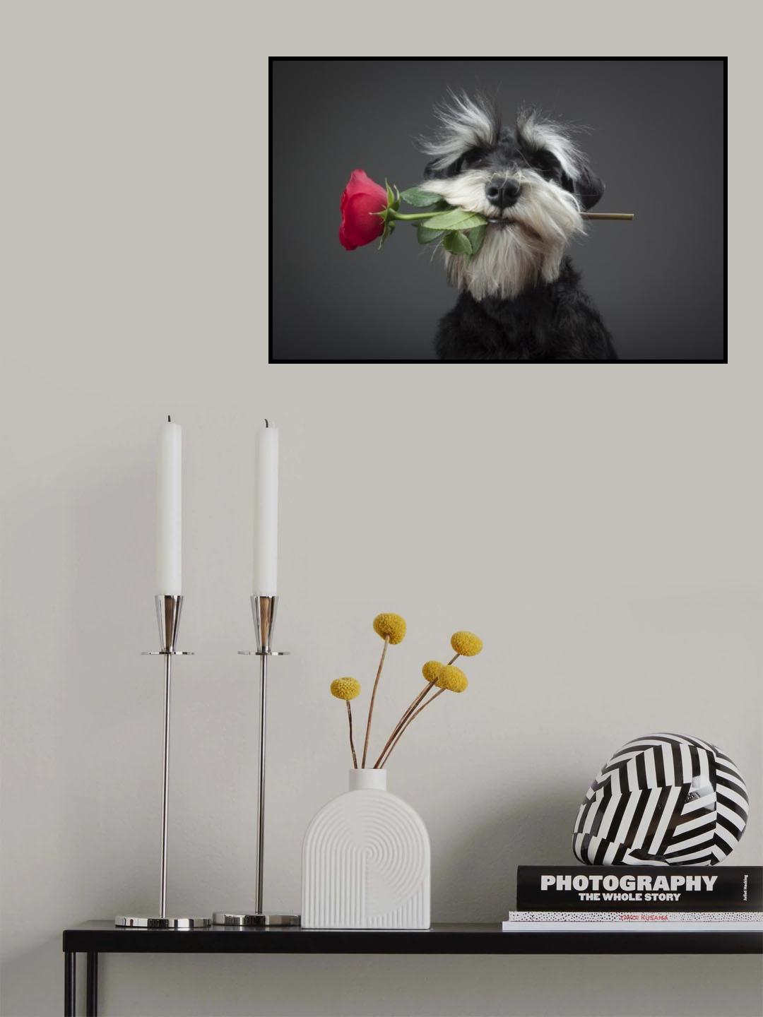 Tango Dancer Poster och Canvastavla