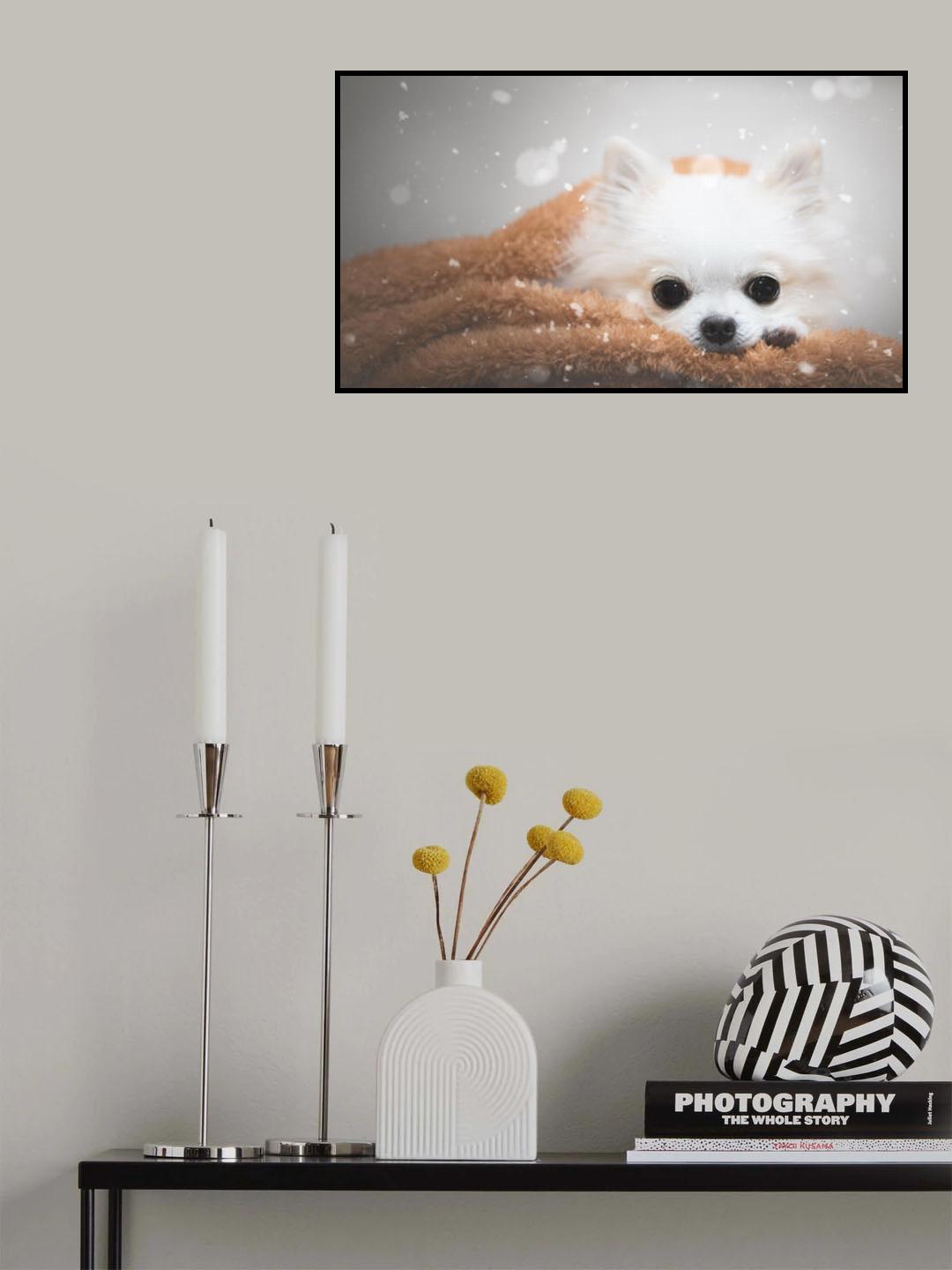 One day in winter Poster och Canvastavla