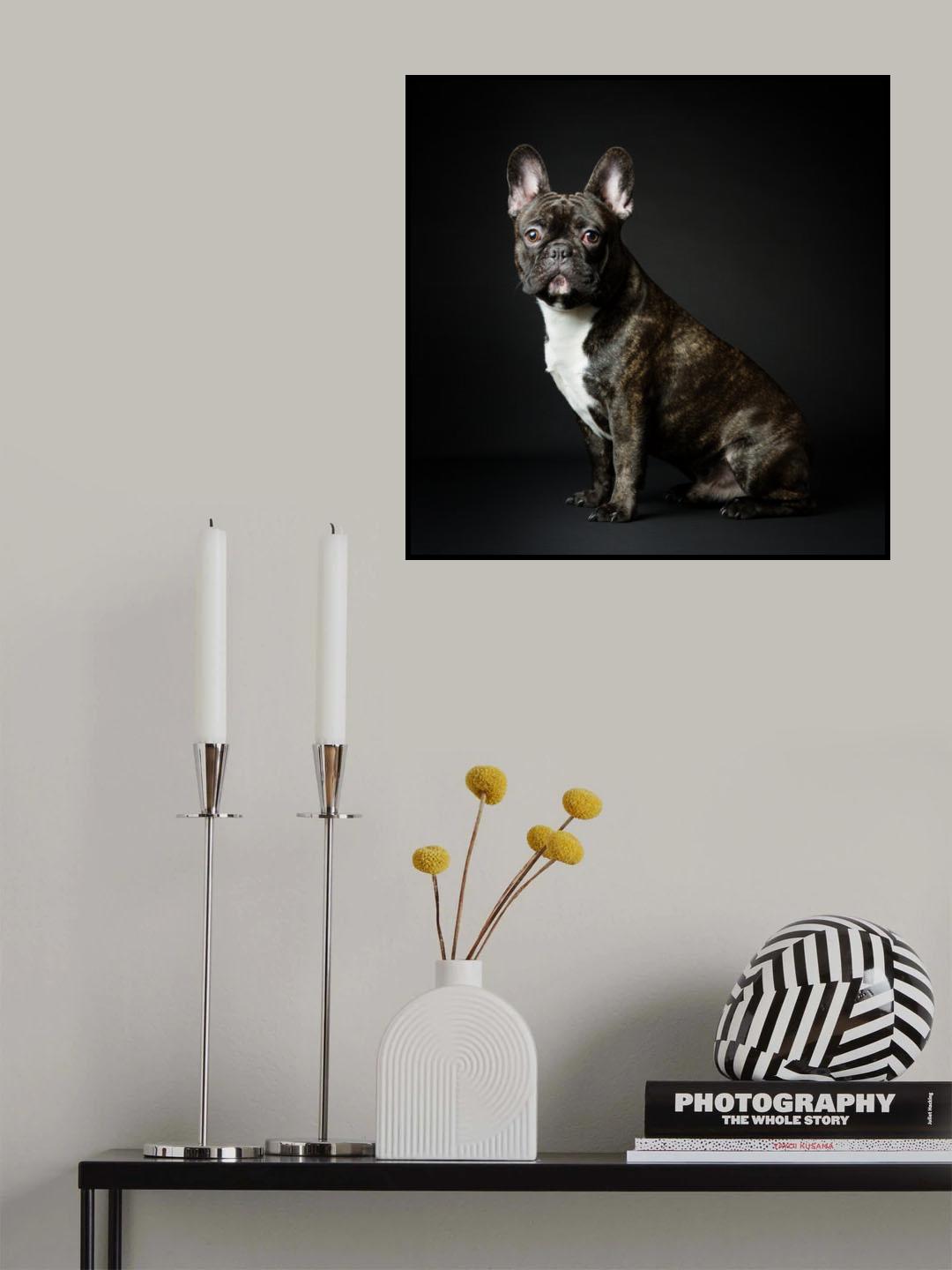 Max Poster och Canvastavla