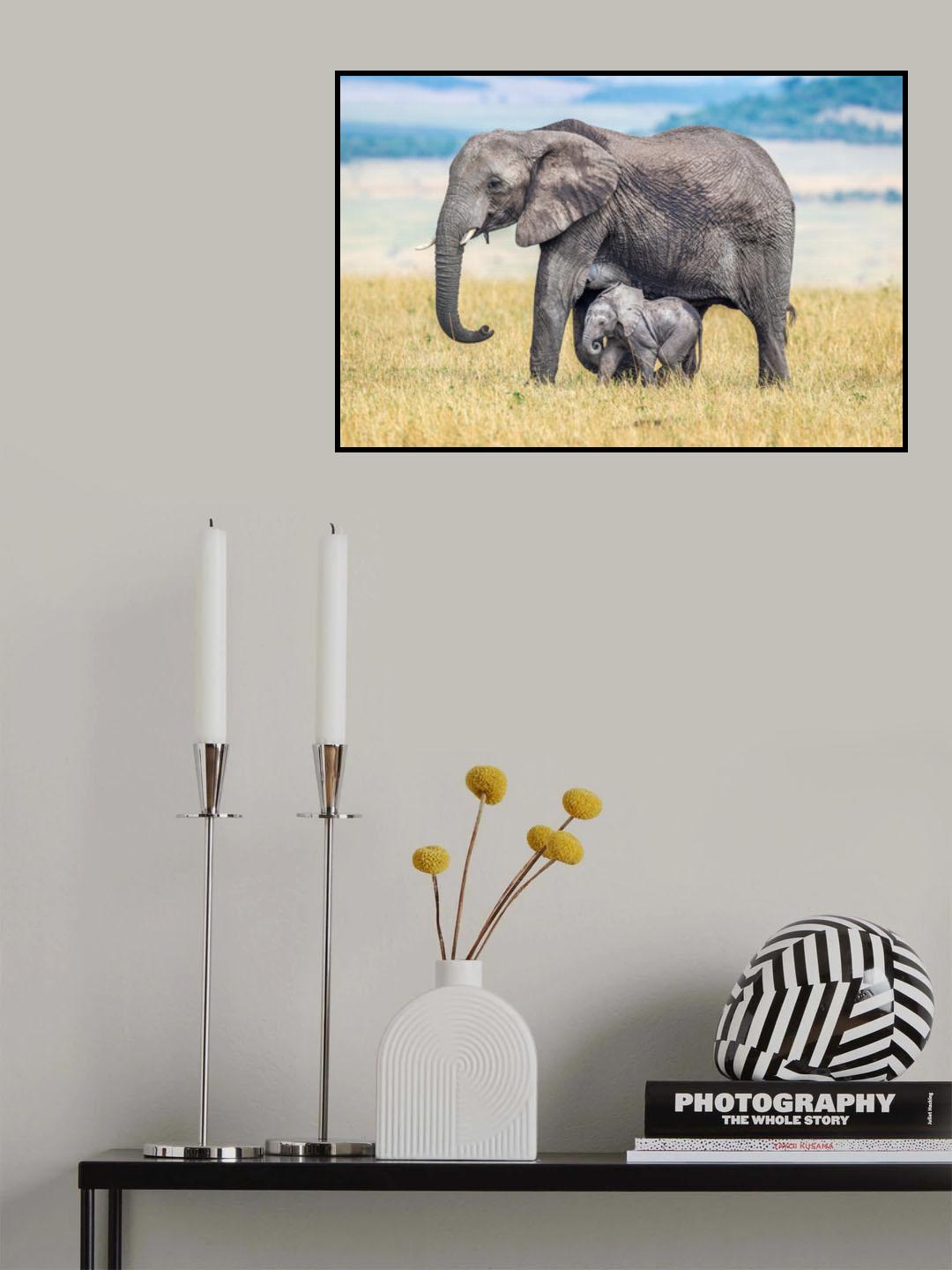 A wee one. Poster och Canvastavla
