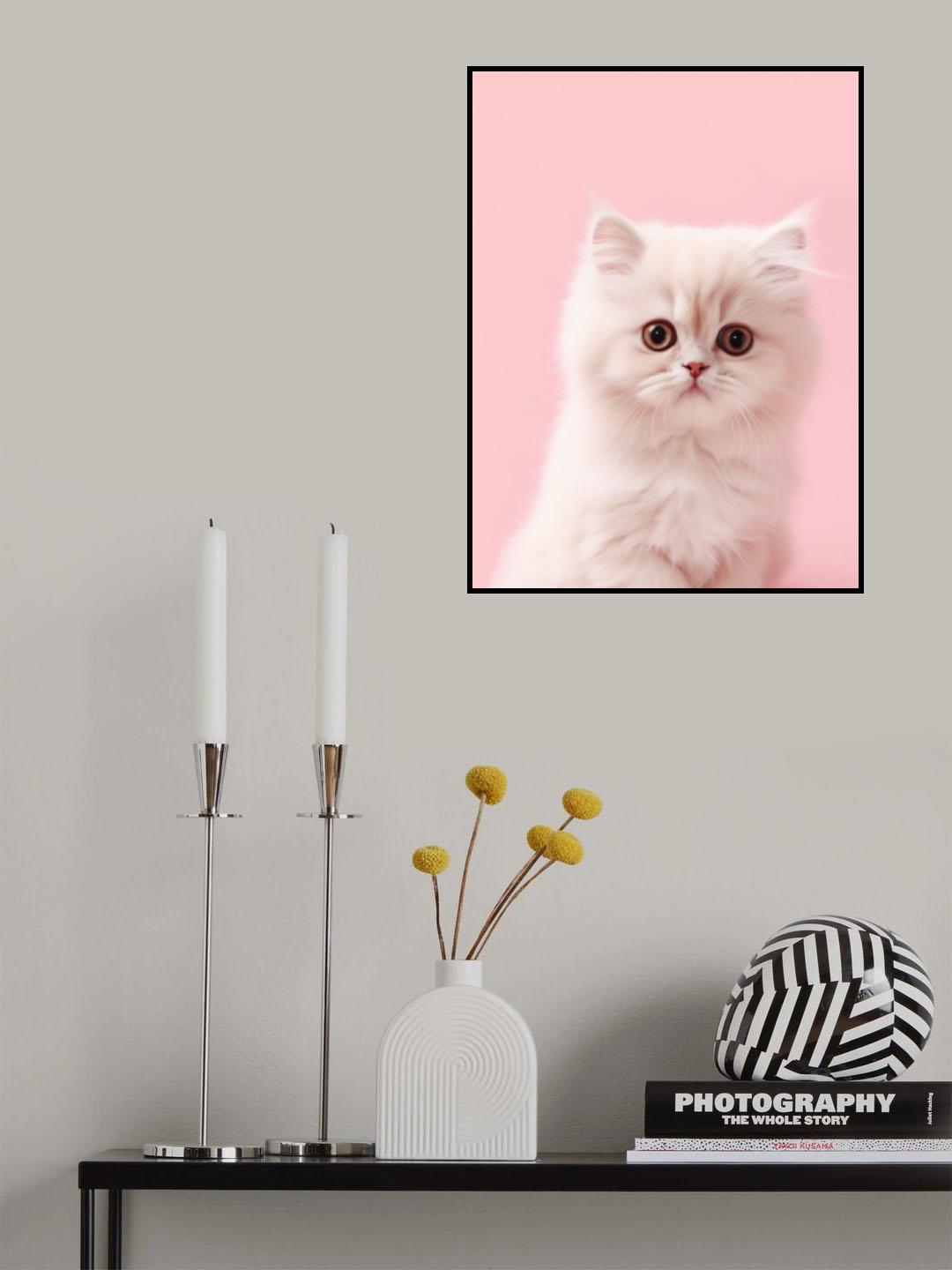 Kitty 4 Poster och Canvastavla