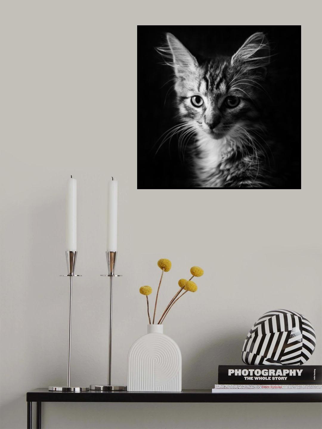 Laban Poster och Canvastavla