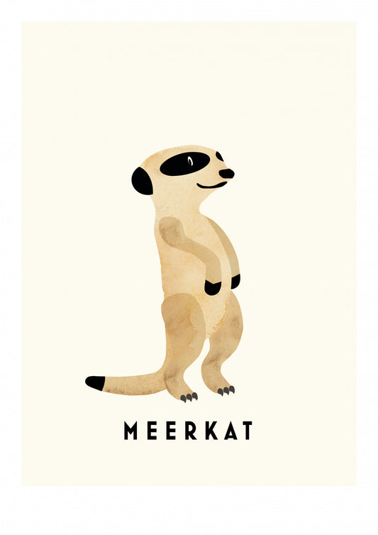 Meerkat Poster och Canvastavla