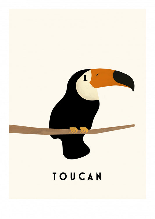 Tucan Poster och Canvastavla