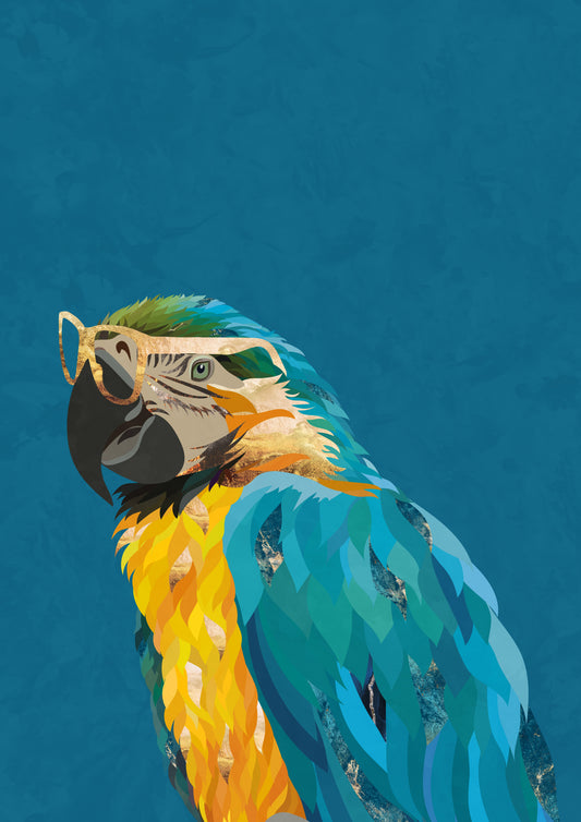 Vibrant macaw wearing glasses Poster och Canvastavla