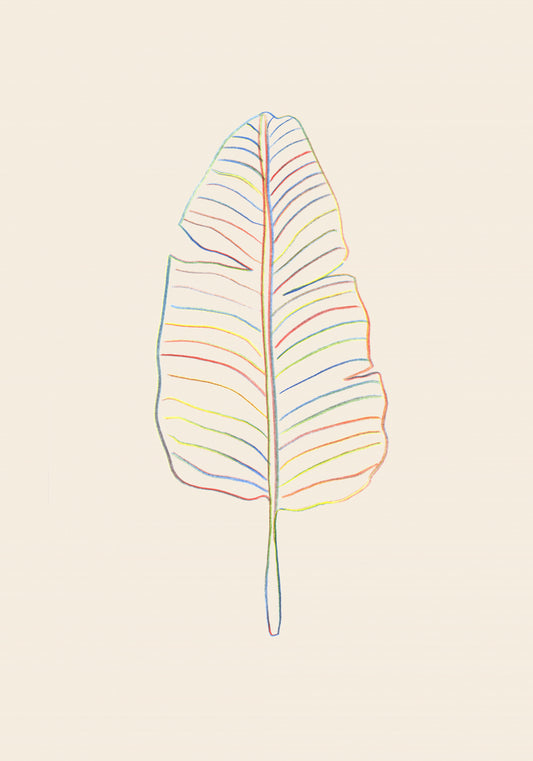 Banana Rainbow Leaf Poster och Canvastavla