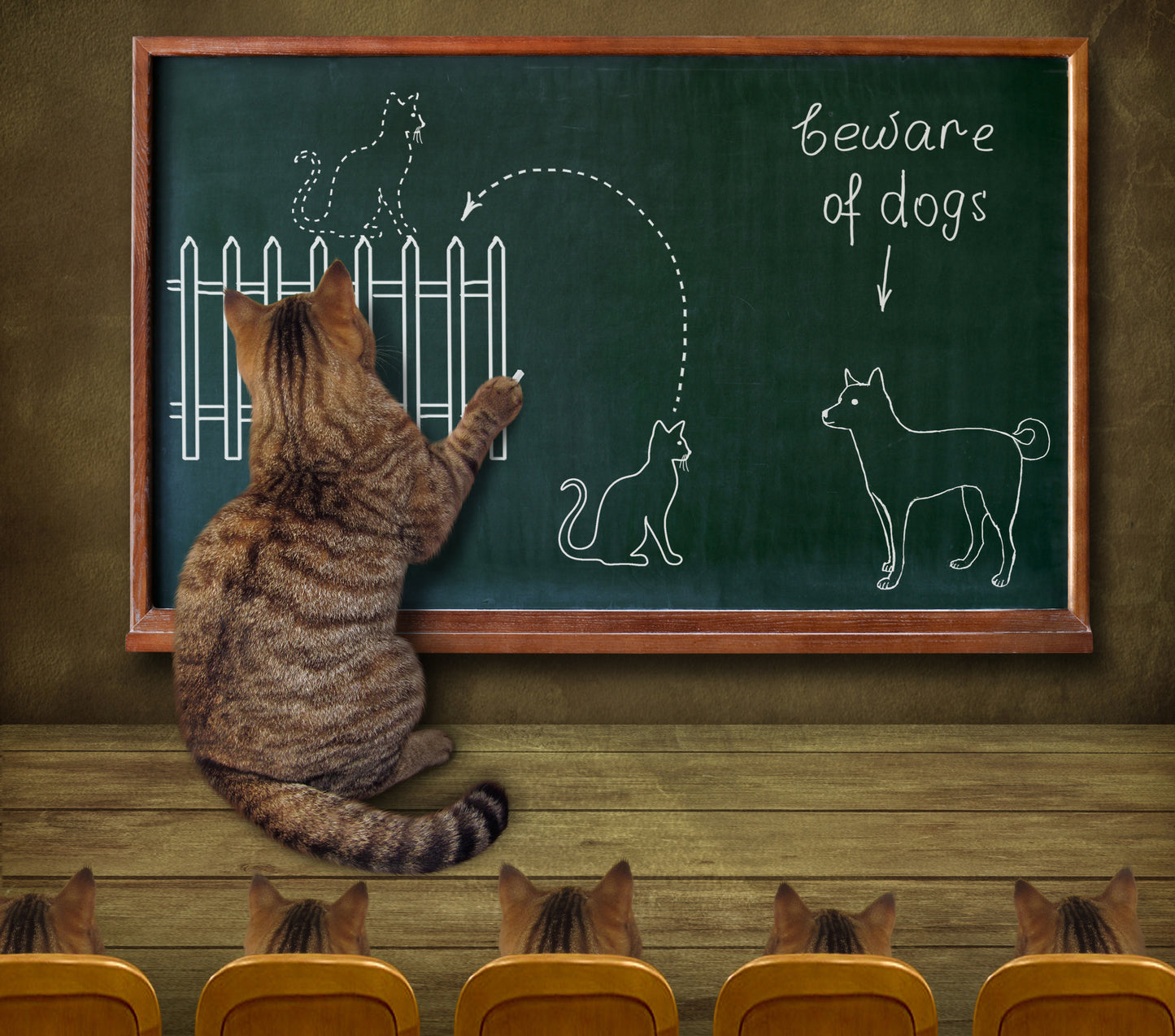 Cat teacher and his pupils... :) Poster och Canvastavla