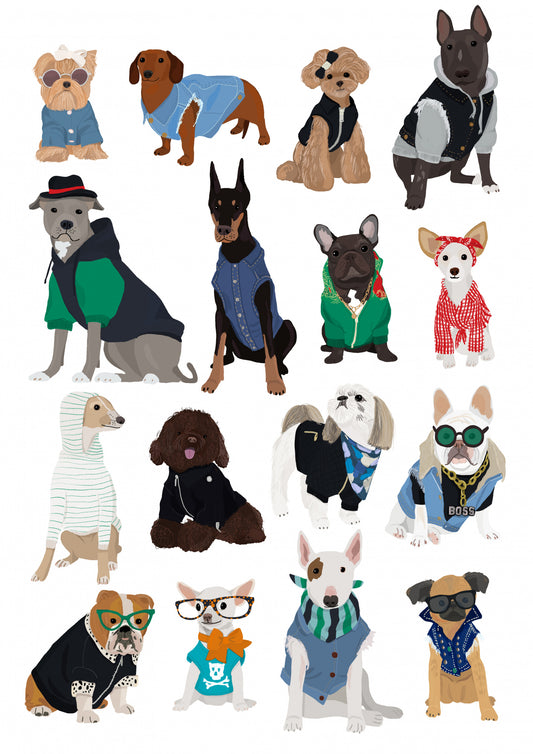 Cool Dog Print Poster och Canvastavla