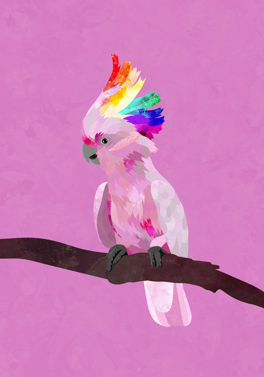 Pride Galah Poster och Canvastavla