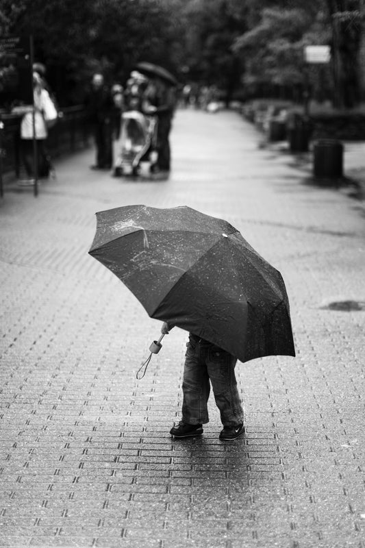 Rainy day Poster och Canvastavla