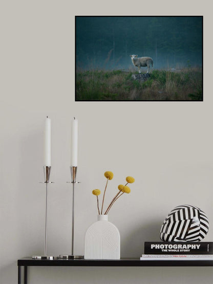 Moody sheep Poster och Canvastavla