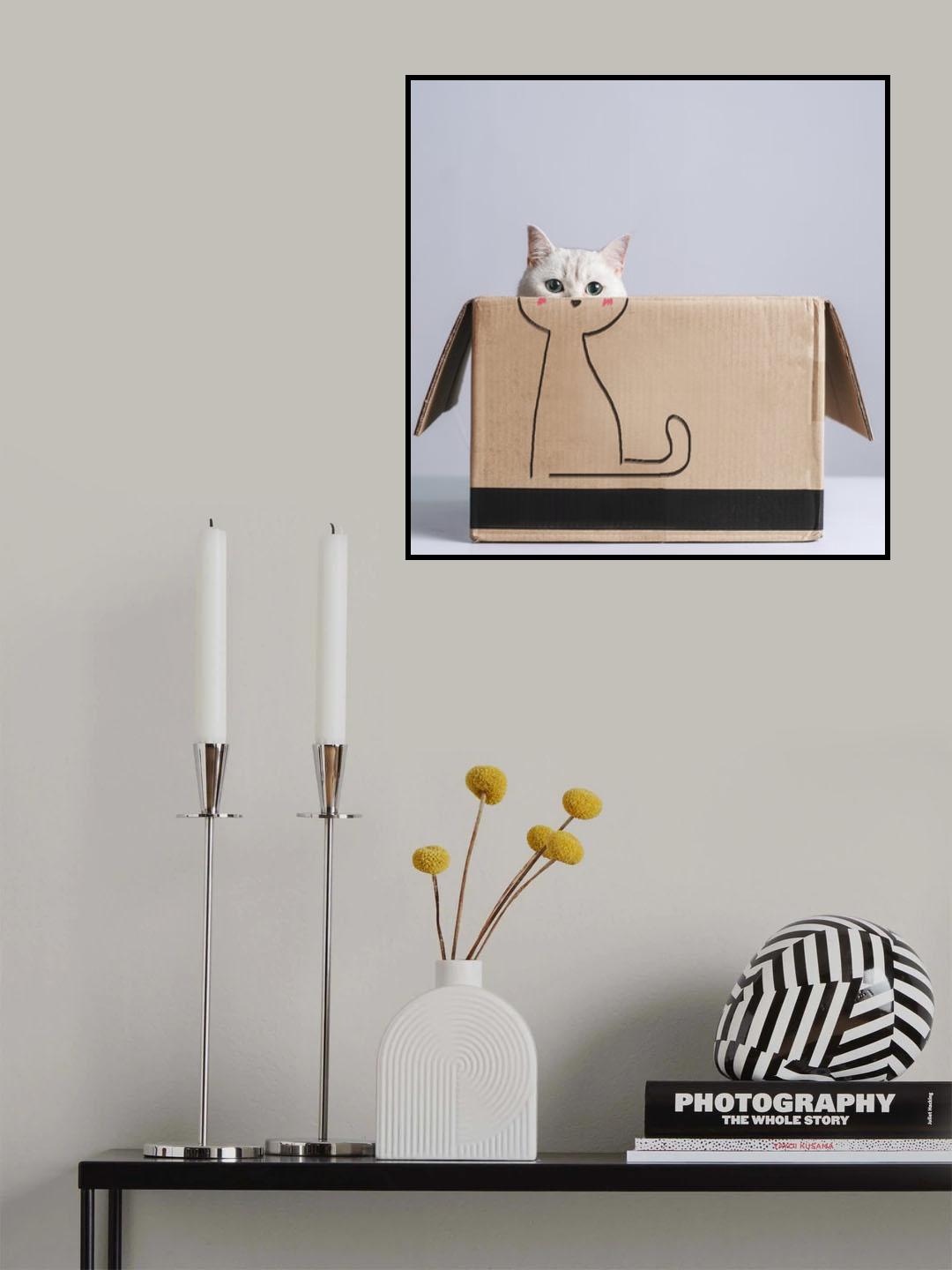 Cat in the box Poster och Canvastavla